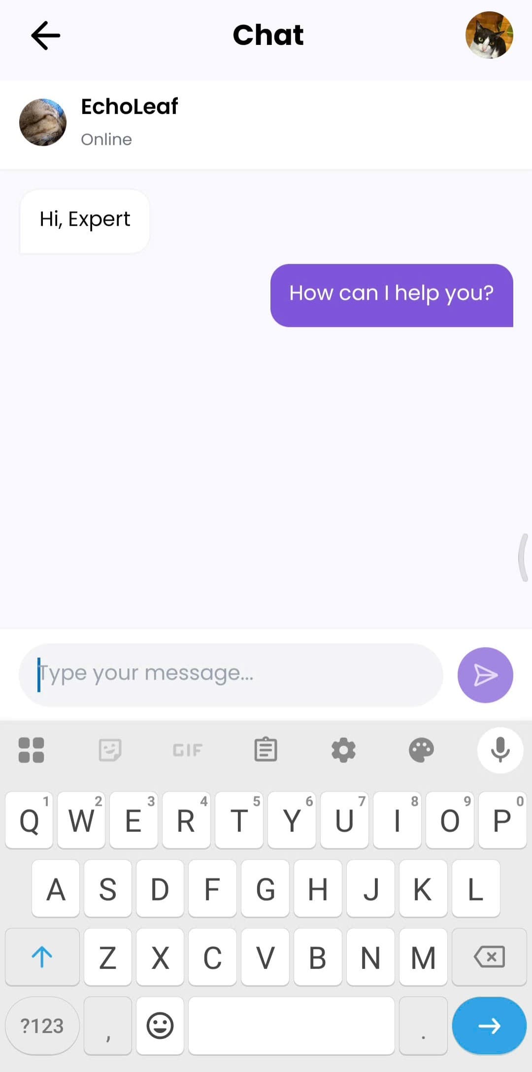 SoulSpace expert chat screen