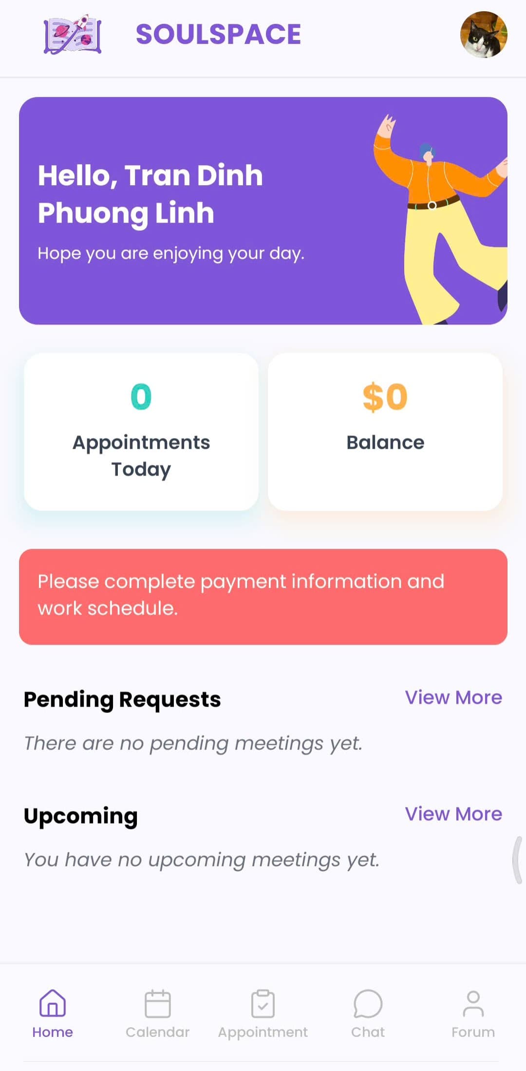 SoulSpace FE Expert app overview