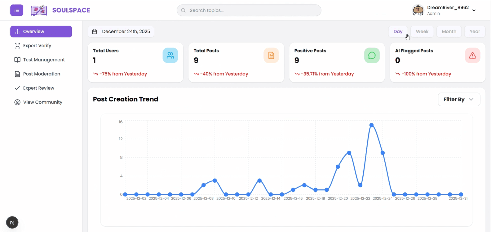 SoulSpace FE Admin overview dashboard