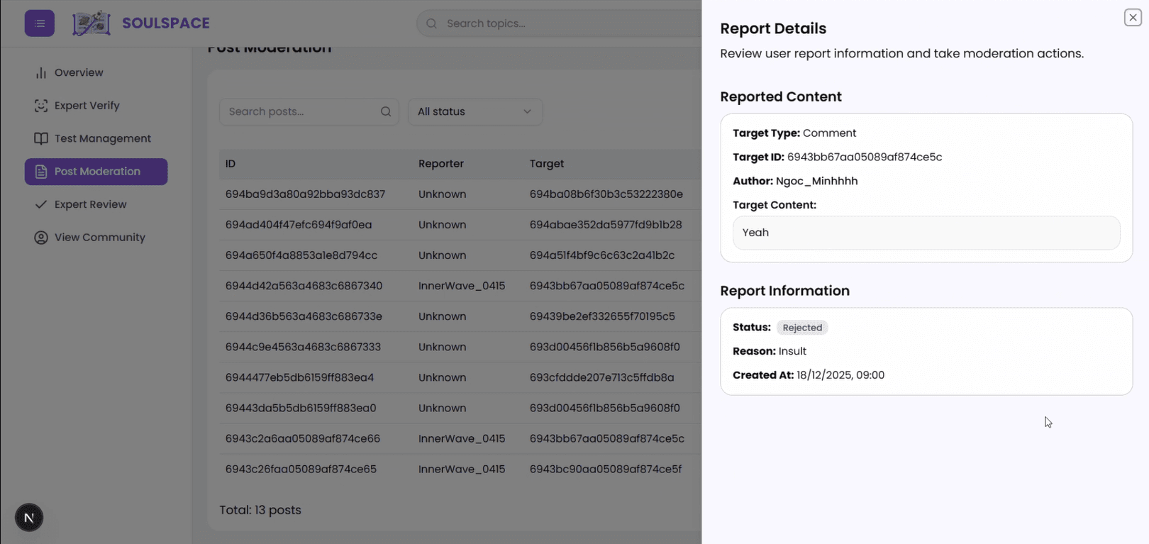 SoulSpace FE Admin report detail