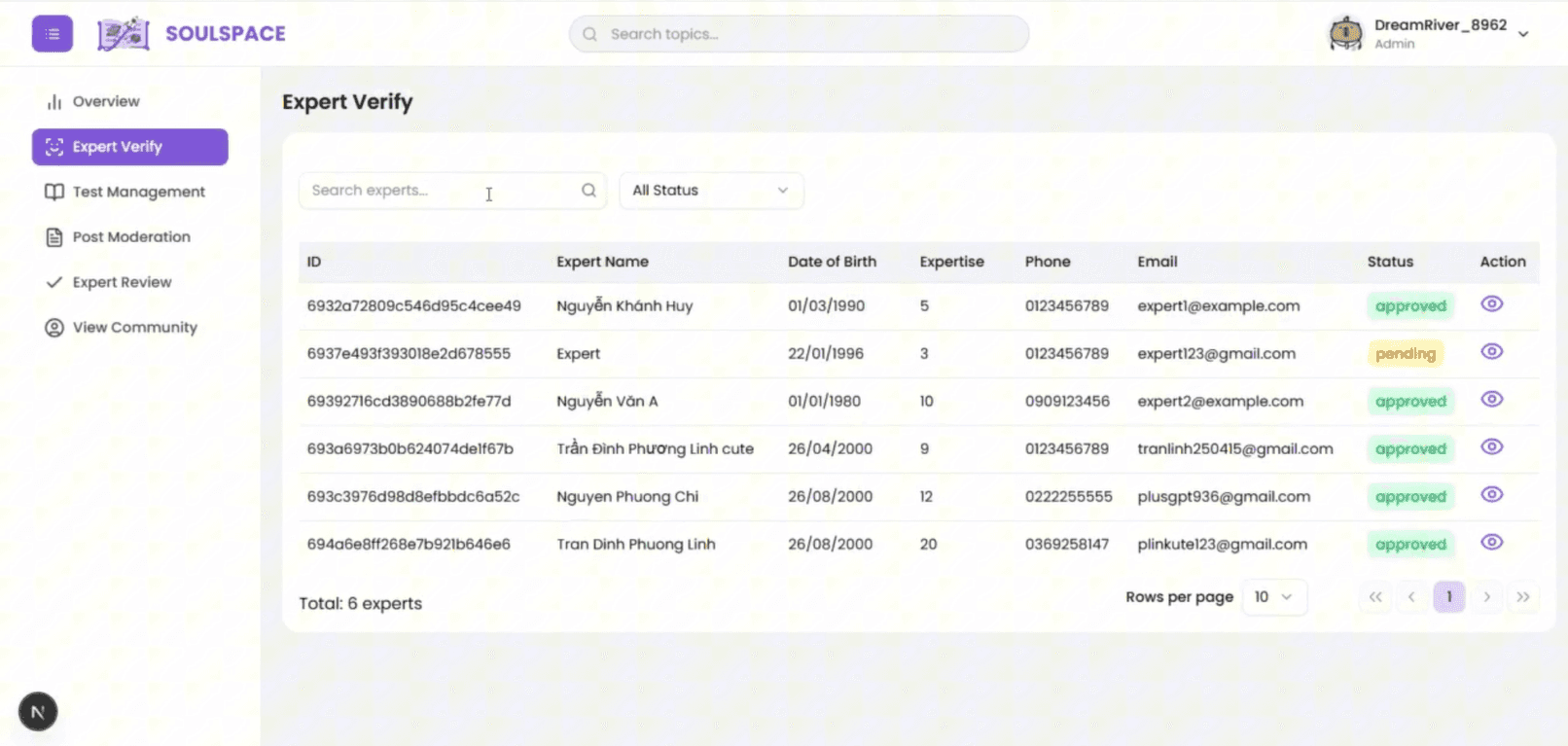 SoulSpace FE Admin verification screen